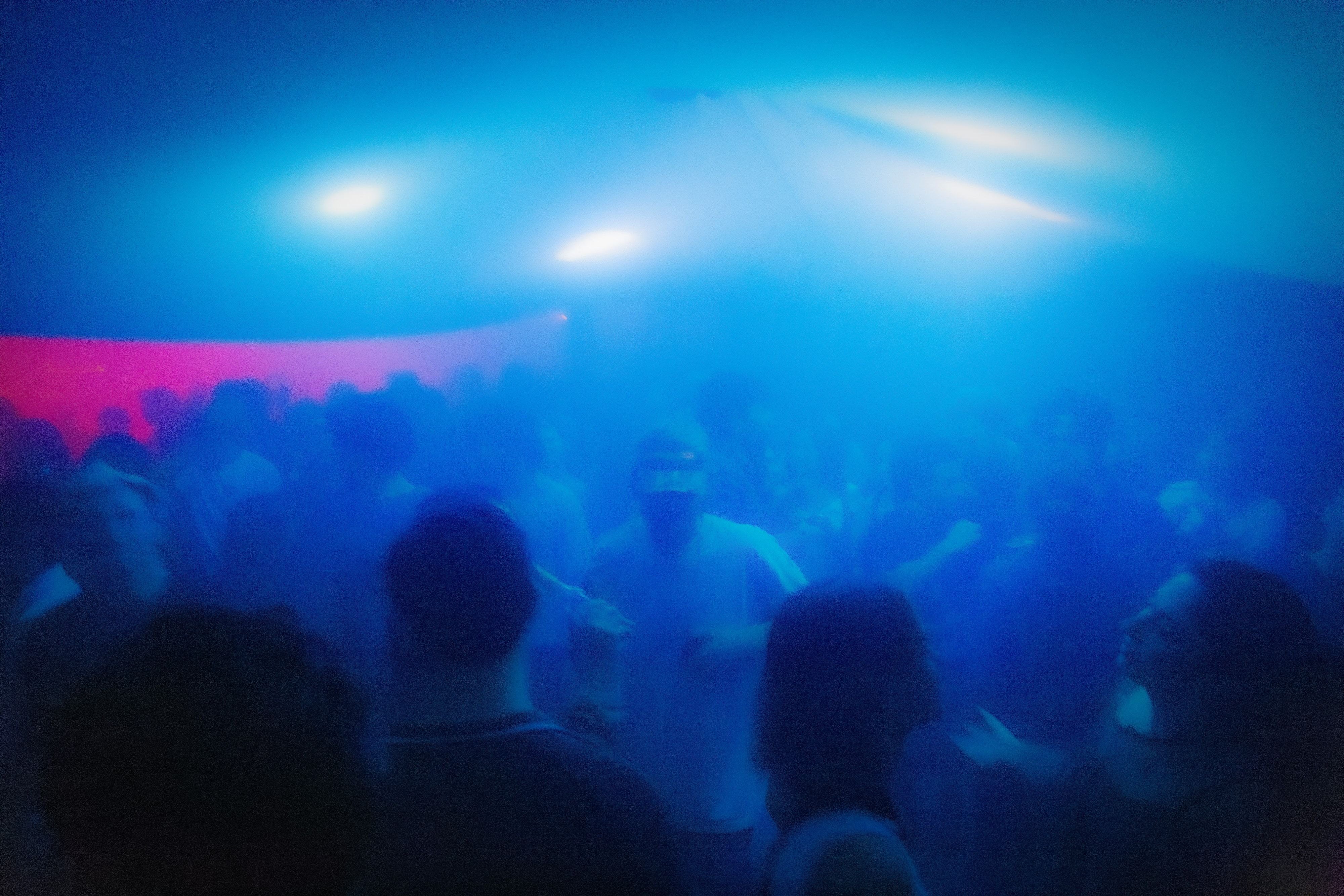 A dense crowd under a full blue wash, the canopy's edge cutting across the top of the frame