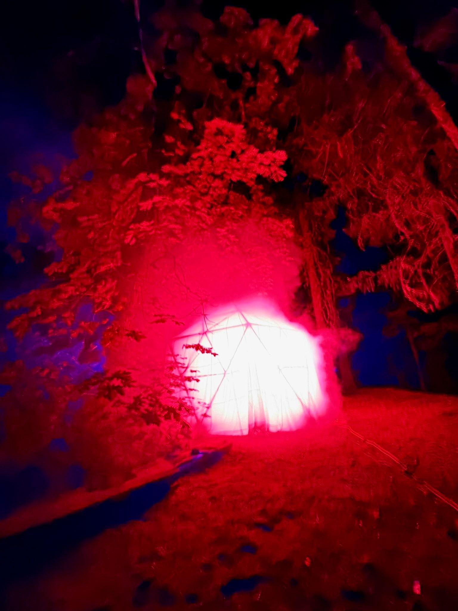 HoloDome3 glowing red through its parachute skin between the trees at night, seen from the path